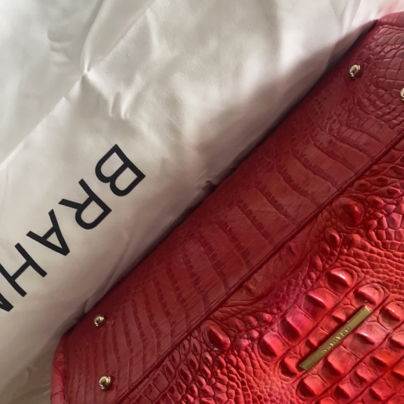 The love of a Bold Brahmin! A gorgeous coral bag, Wow! - Picture 7 of 13